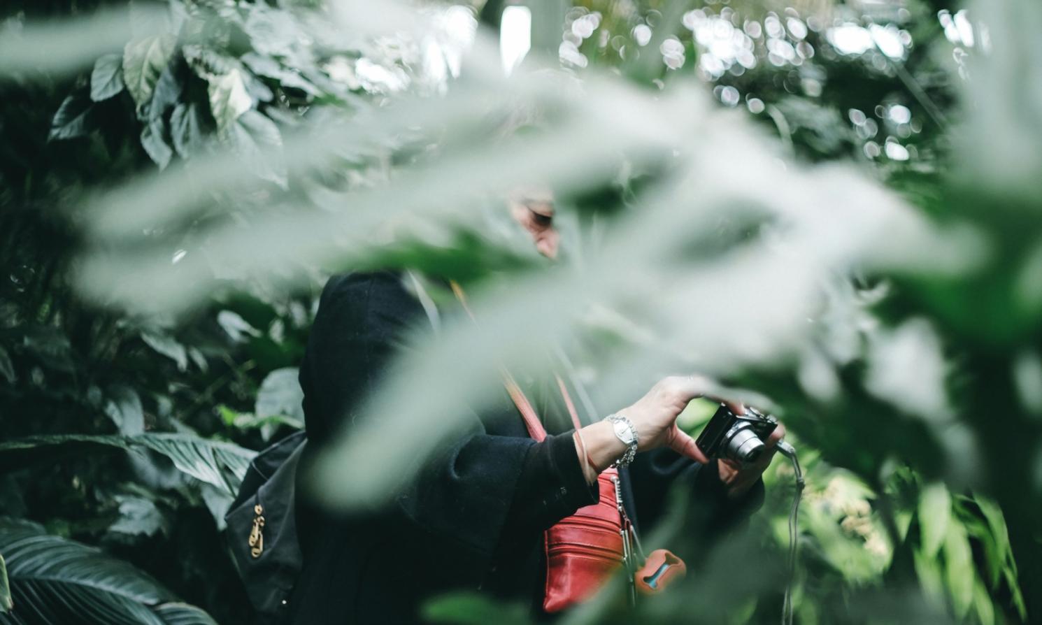 Приклад макрофотографії студента